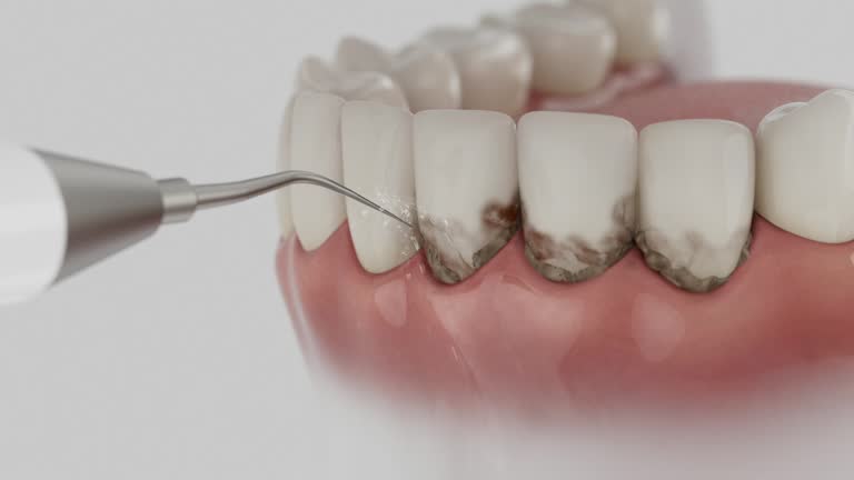 Reliable Dental contractor in Tucker County County, WV by Dentist Open Now